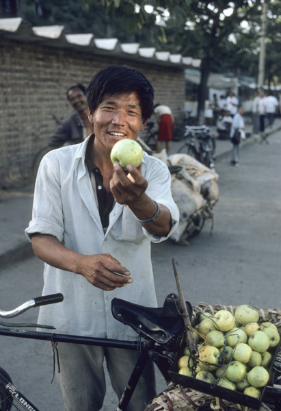 Apple vendor