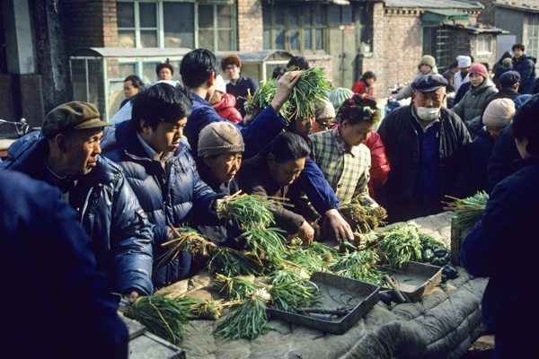 Vegetable buying at Hongqiao market