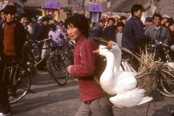 Woman with geese
