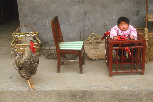 Baby and chicken