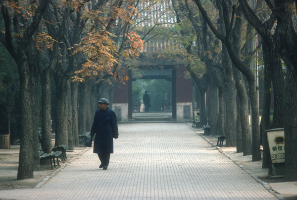 Man in Ritan Park, Beijing