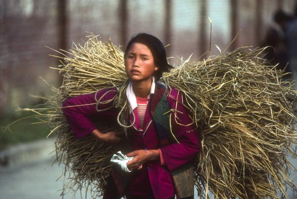 Girl carrying stalks at Xichang