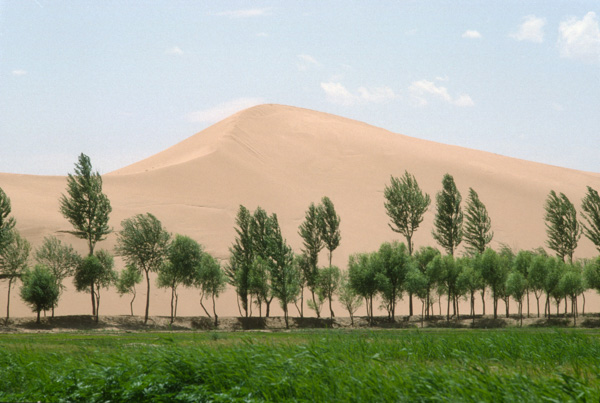 Encroaching desert, China