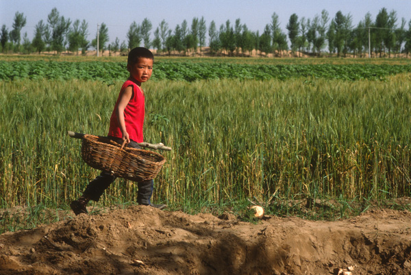 Young child and basket