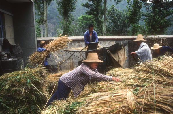 Harvest