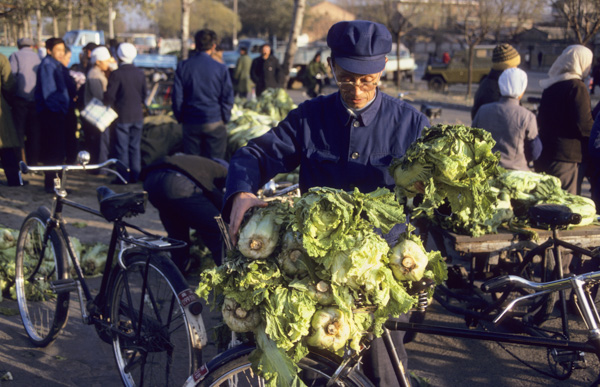 Man puts cabbage on bicycle