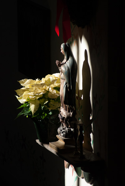 Statue of Mary in Sunlight