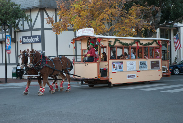 Horse-drawn cart at Christmastime