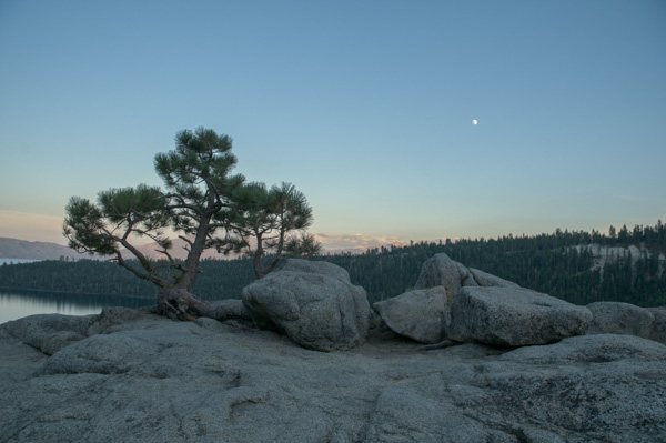 Tree, Rocks and Moonrise at Tahoe