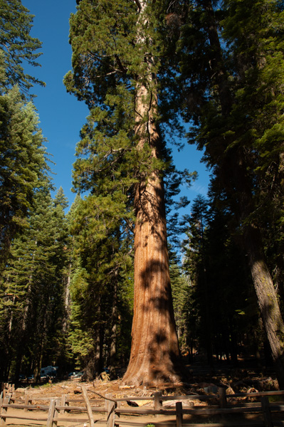 Yosemite, California