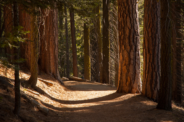 Yosemite, California