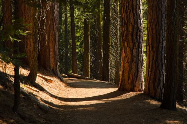 Yosemite, California