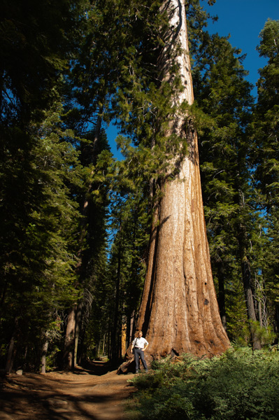 Yosemite, California