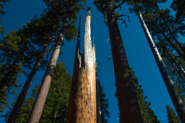 Yosemite, California