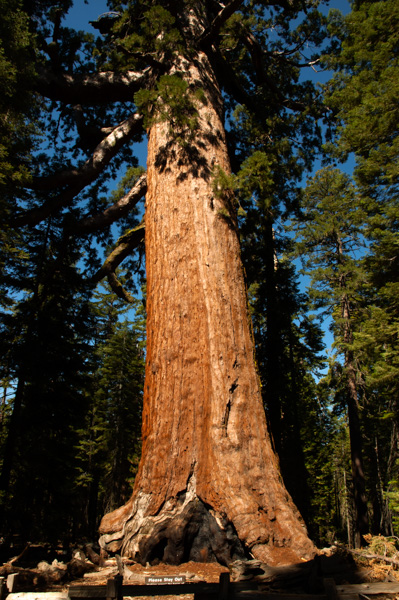 Yosemite, California