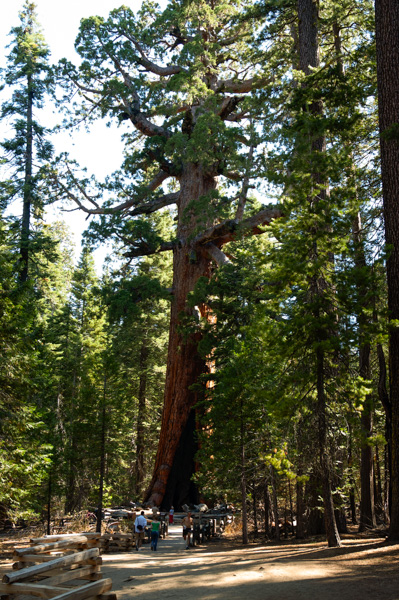 Yosemite, California