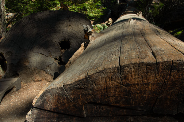 Yosemite, California