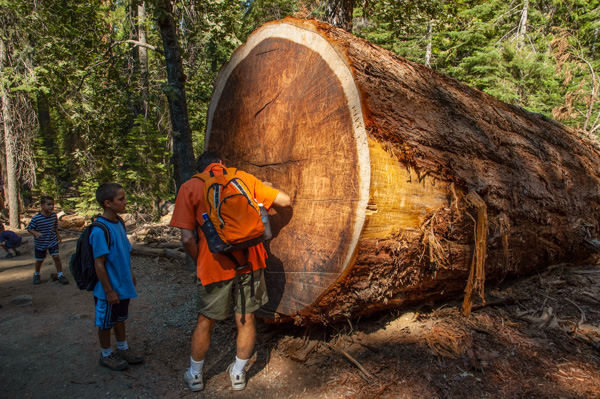 Yosemite, California