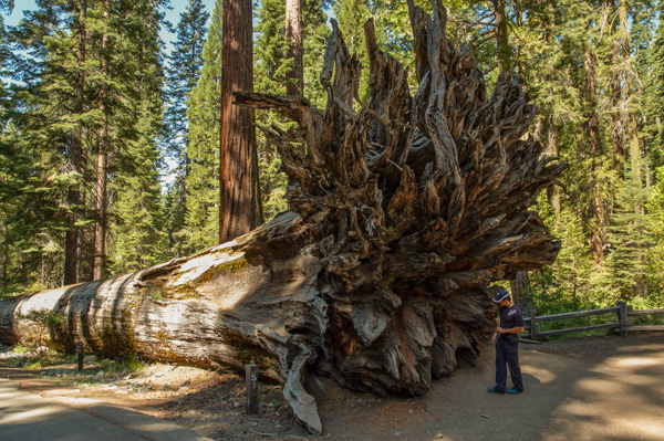 Yosemite, California