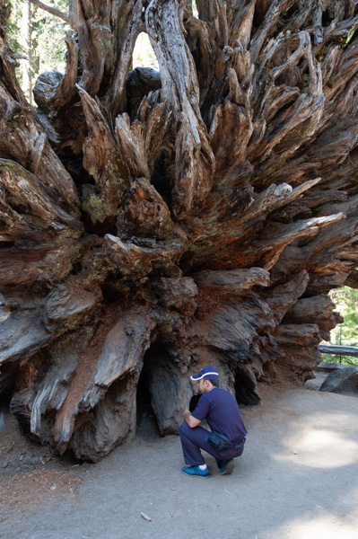 Yosemite, California