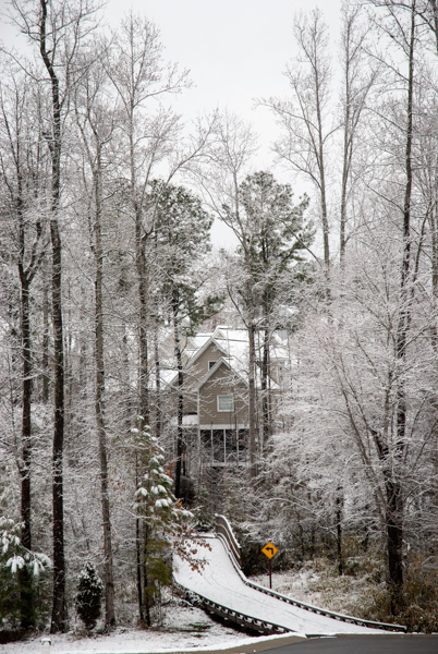 Snow on a nature trail, Apex, North Carolina
