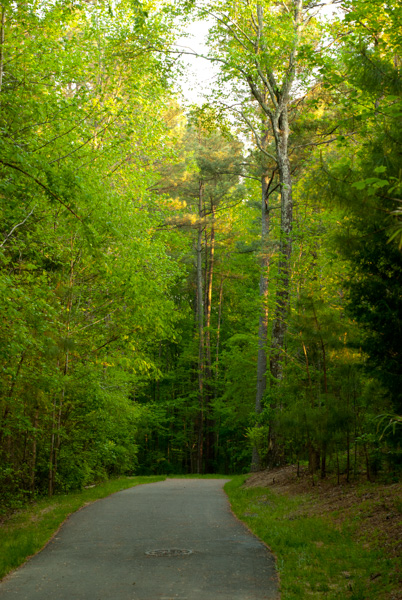 Nature Trail, Apex, North Carolina