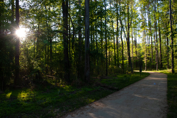 Nature trail, Apex, North Carolina
