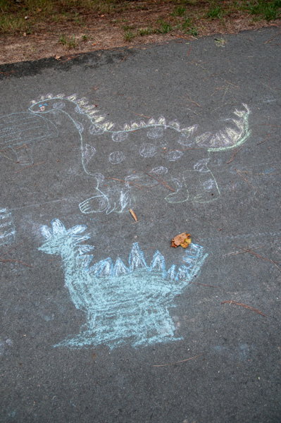Chalk art, Nature trail, Apex, North Carolina