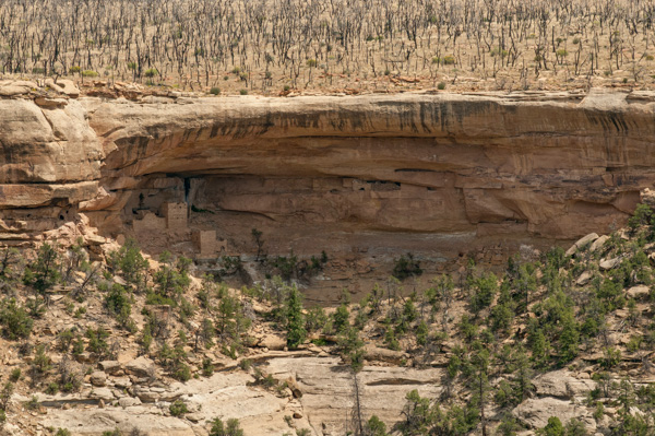 Mesa Verde, Colorado