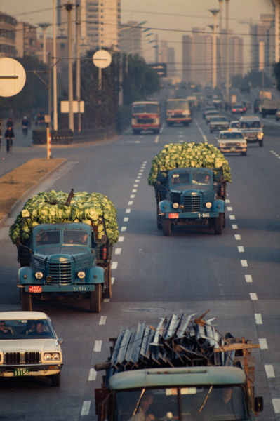 Truckloads of cabbage