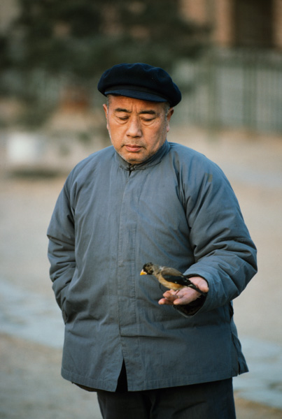 Man with bird, Beijing