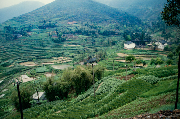 Terraced hills, Sichuan