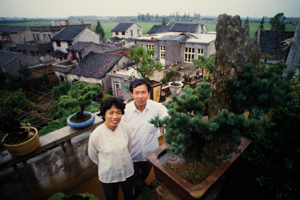 Couple who sold Bonsai trees, Wenzhou, China