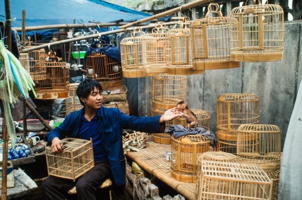 Bird cage maker