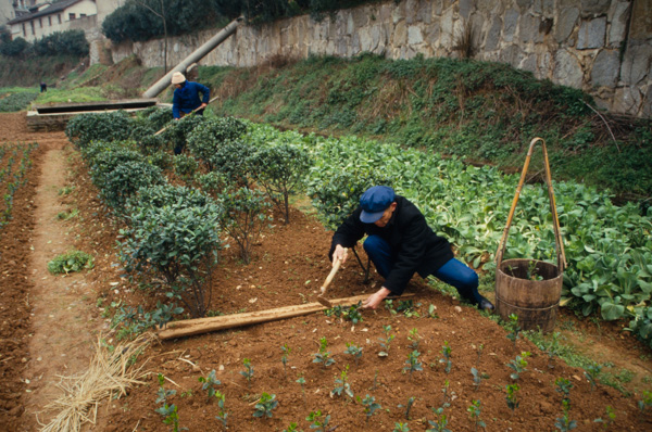 Man and women in field, China