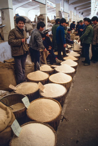 Grain market