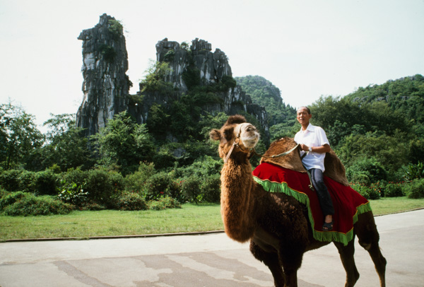 Man on camel