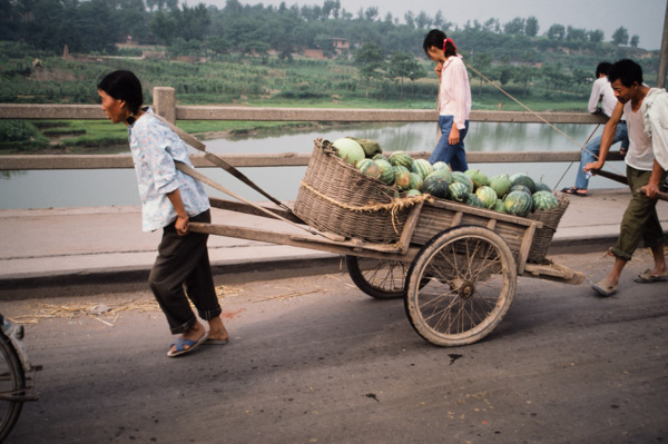 Watermelons going to market
