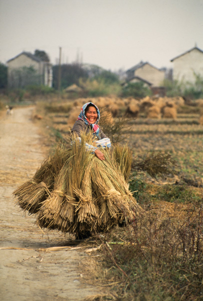 Woman carries stalks