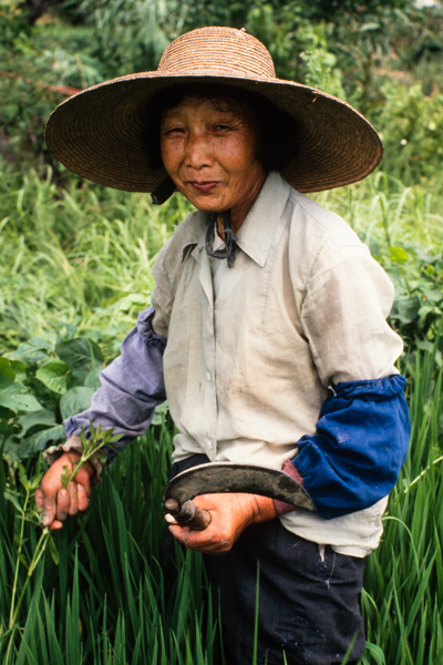 Farmer in Pudong