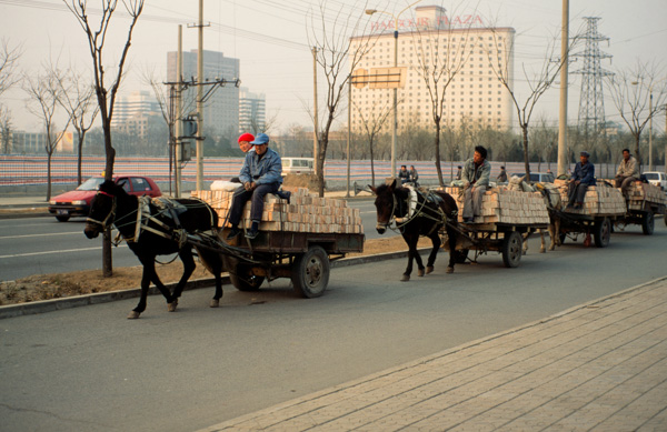 Horse carts, Beijing
