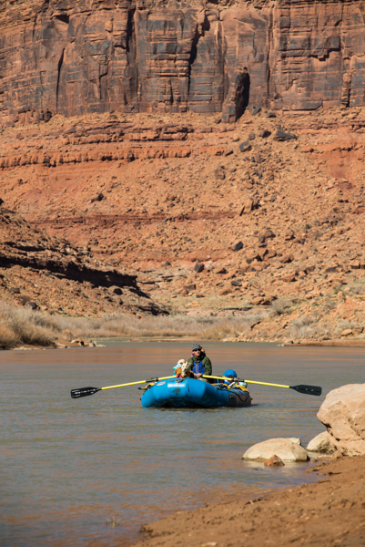Rafting along the Colorado River