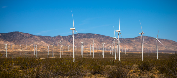 California Wind Farm