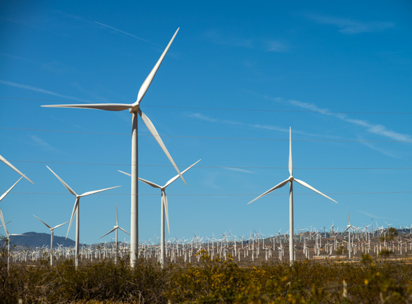 California Wind Farm