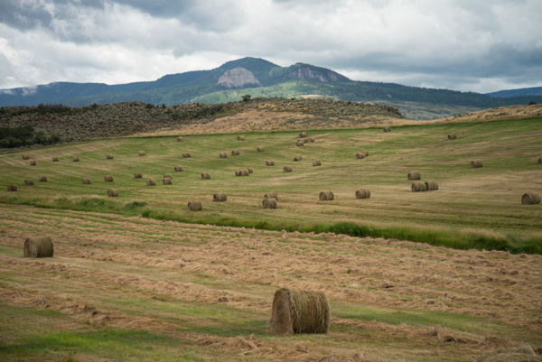 Montrose, Colorado