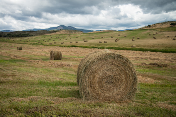 Montrose, Colorado