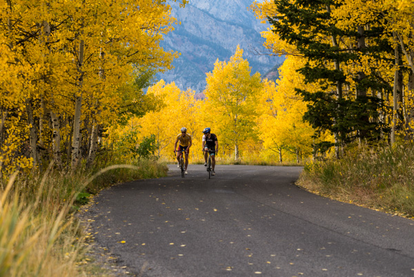 Fall colors, Alpine Loop, Utah