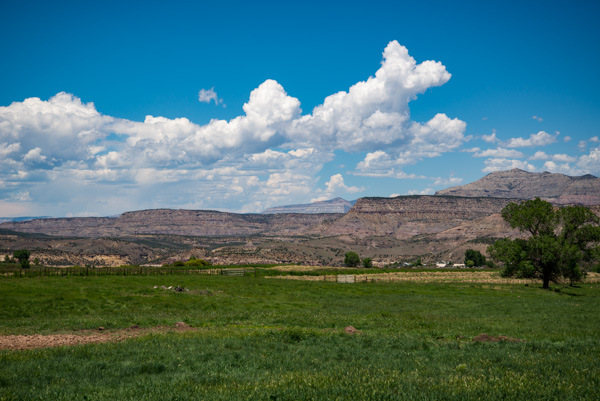 Landscape, Mesa, Colorado