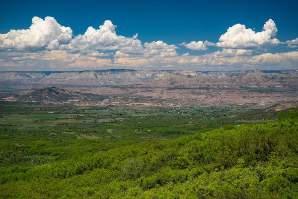 Landscape, Mesa, Colorado