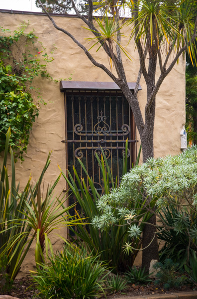 Window and tree, Carmel California
